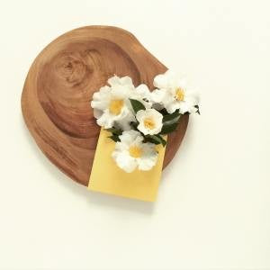 Daitima 純高山老薑滋潤皂 Ginger Soap (85g)